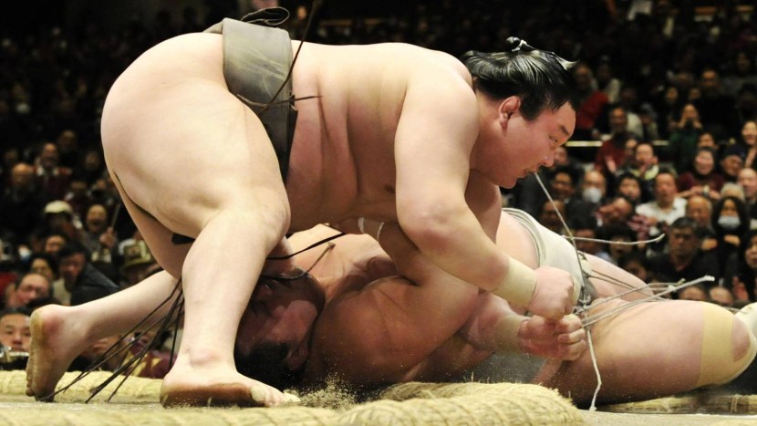 Japanese type of struggle