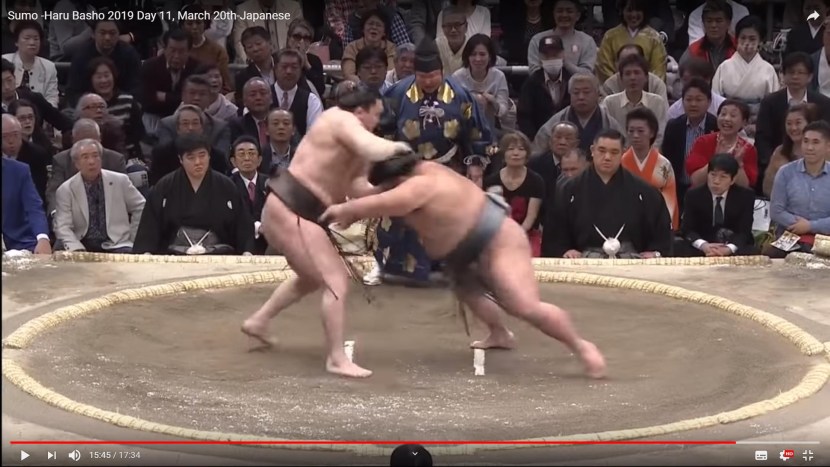 Fat Japanese Wrestling XXX