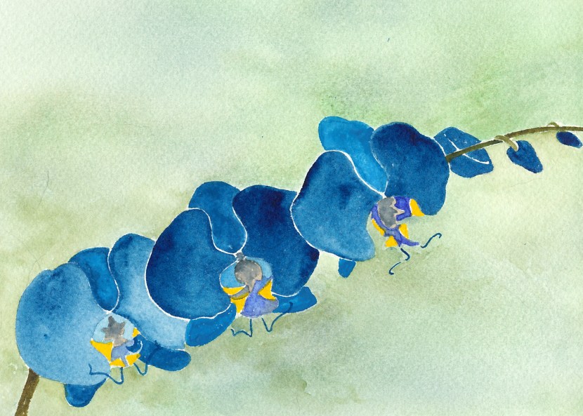 Hydrodrossel with a check valve L415