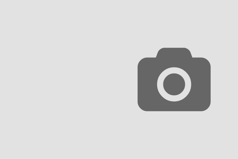 Artist Harley Davidson David Ul