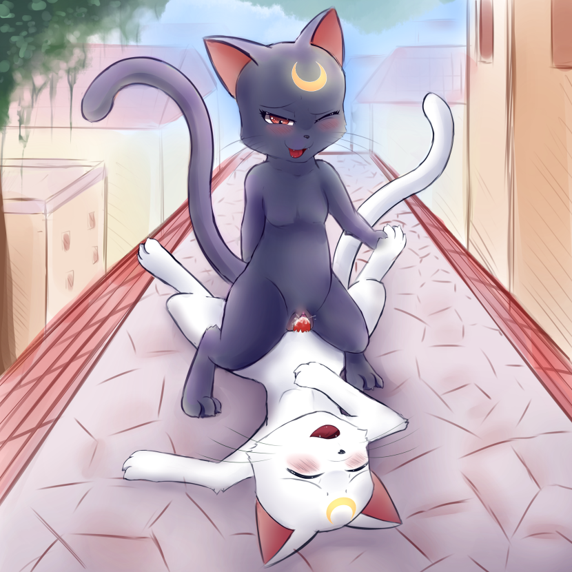 Sailor Moon Lesbian Hentai