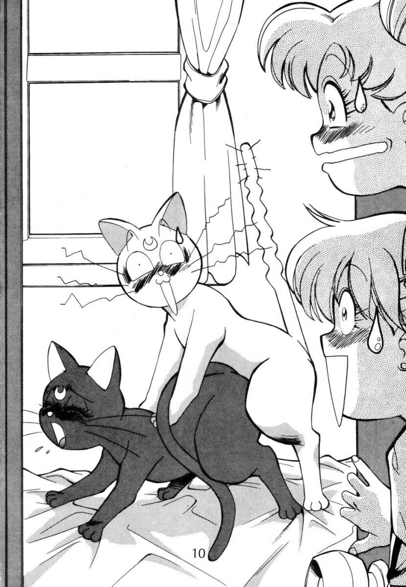 Cats Sailor Moon Hentai