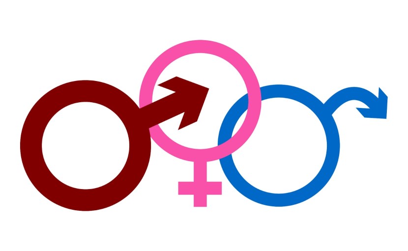 Pornstars transvestites