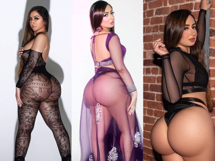 Malika Sheravat pornography