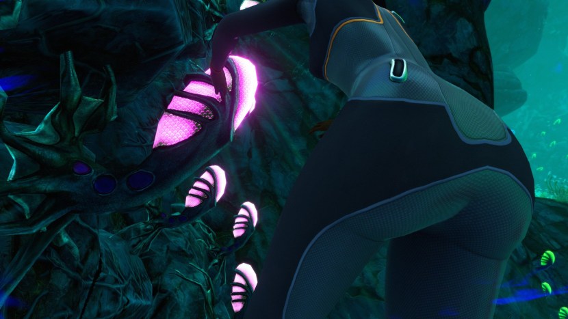 Subnautica shining whale