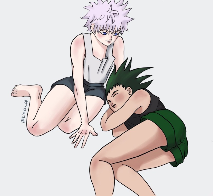 Hunter X Hunter Hisoka and Gon Hentai