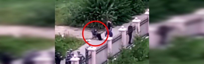 Clara Lill Watch Dogs 2 Hentai