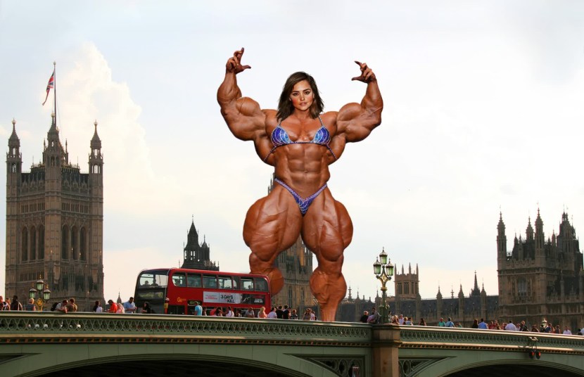 Anya Anime Family Spies