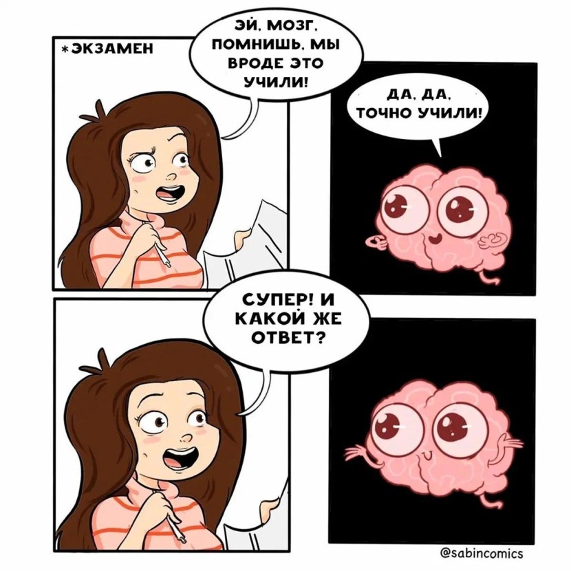 The size of the brain meme