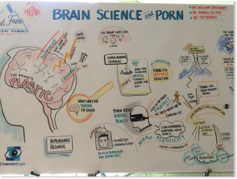 Your Brain On Porn: Internet Pornography and the Emerging Science