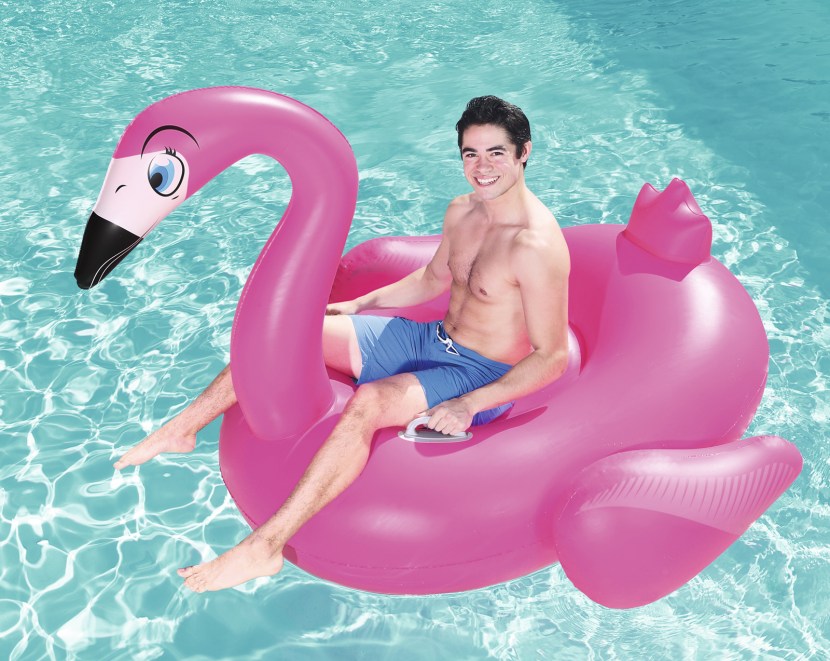 Sexual instinct in mammals