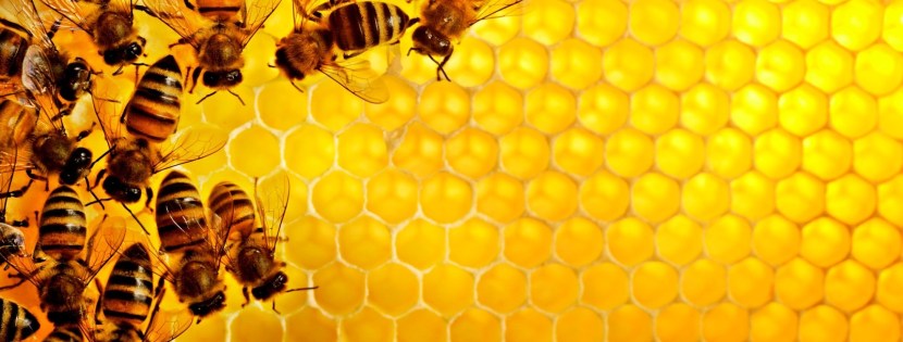 Hentai finished in a condom