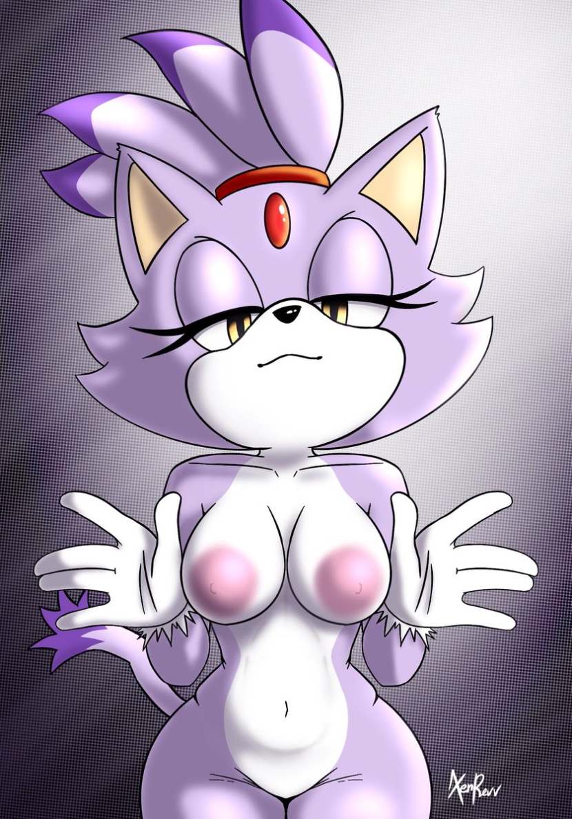 Cat Blaise and Sonic Hentai