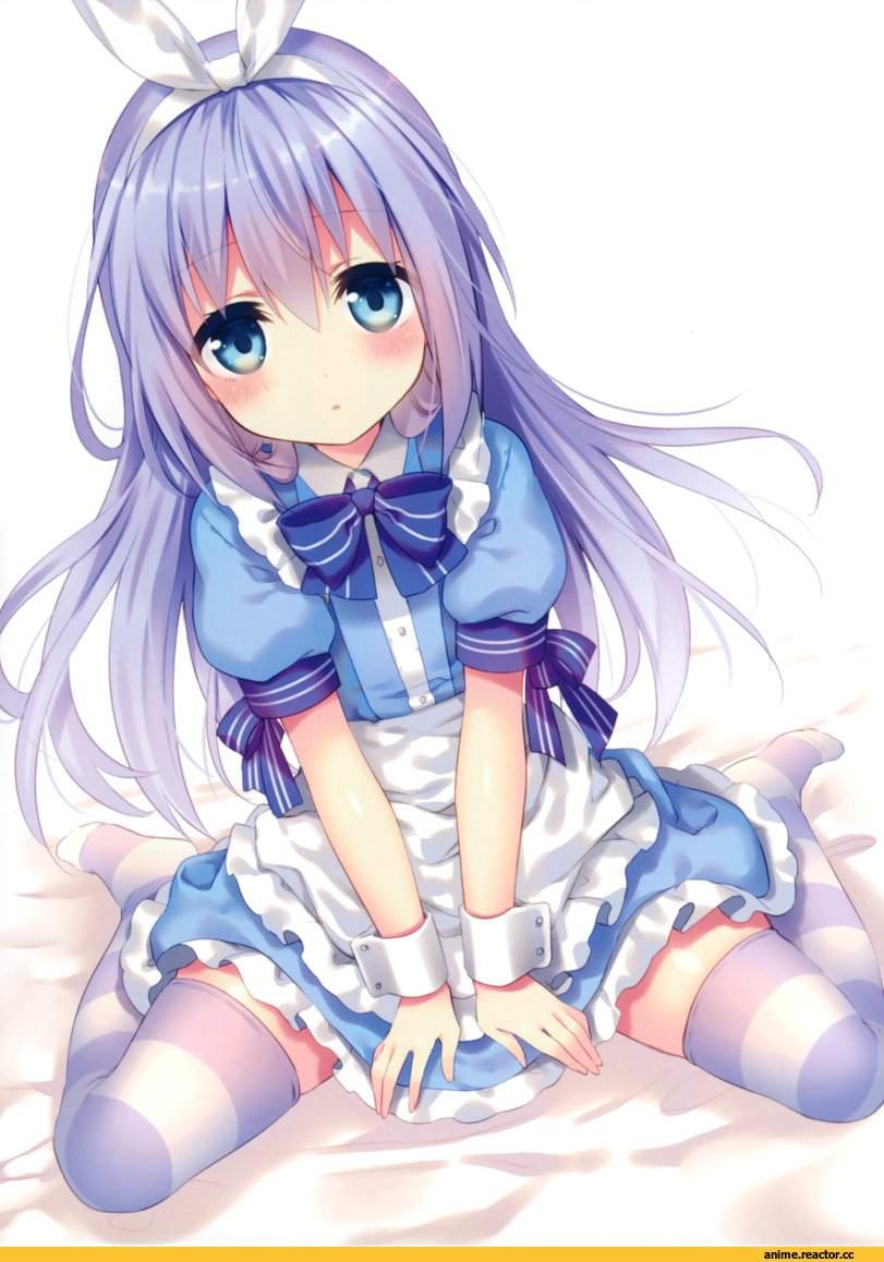 Anime Chino Kafuu