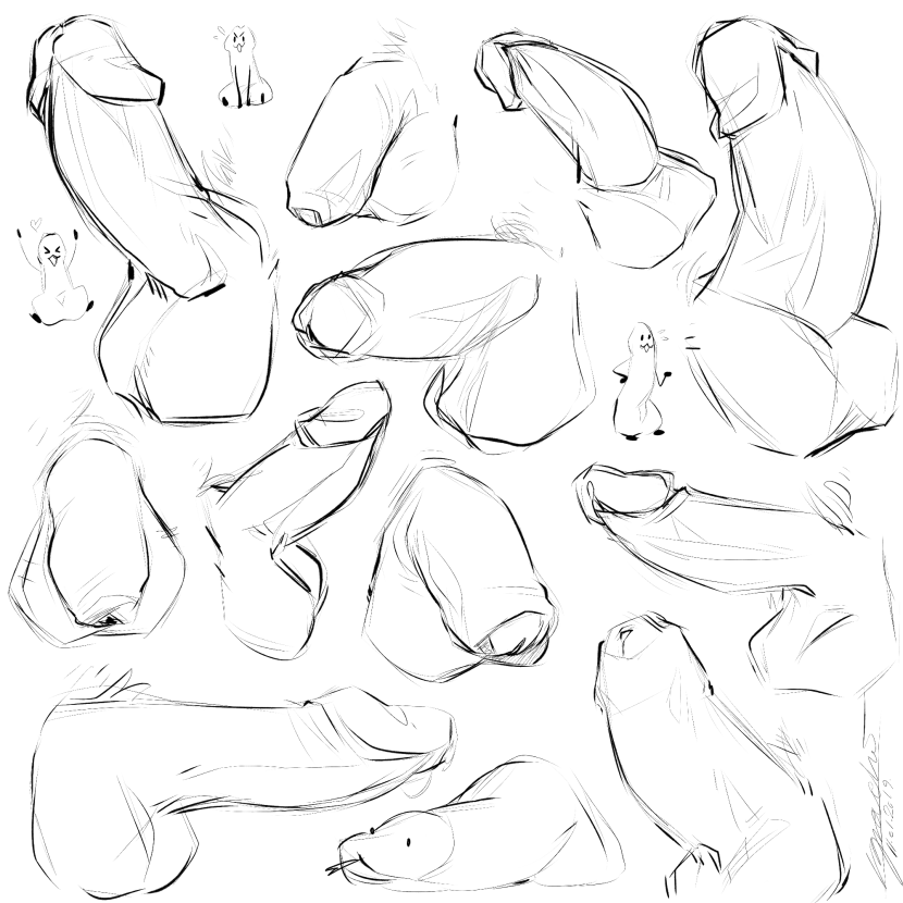 References of the male penis