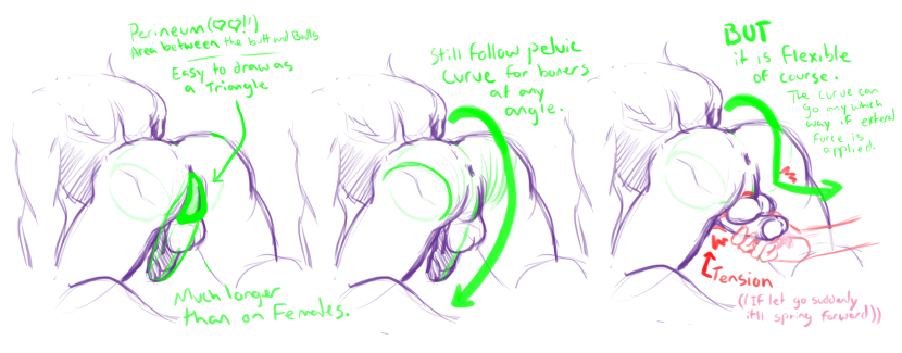 Tutorials on drawing a member