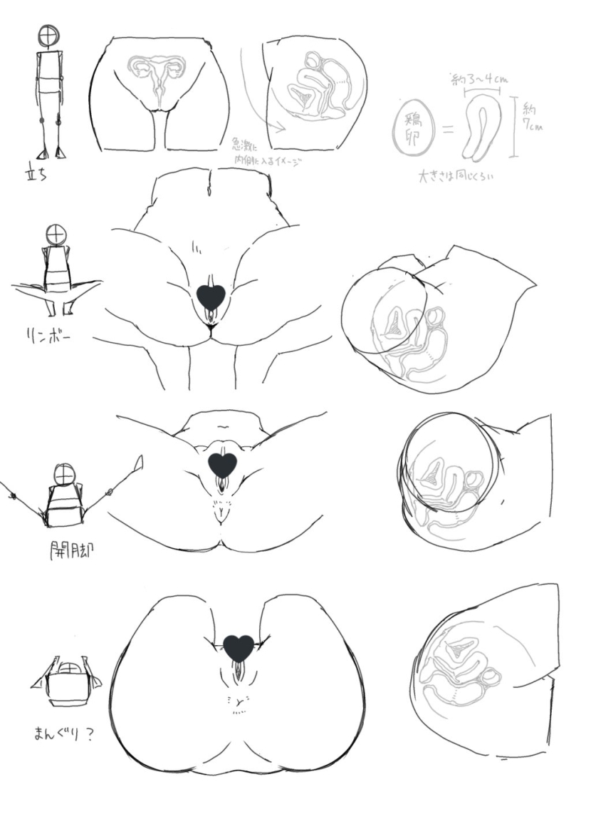 Drawing female genital