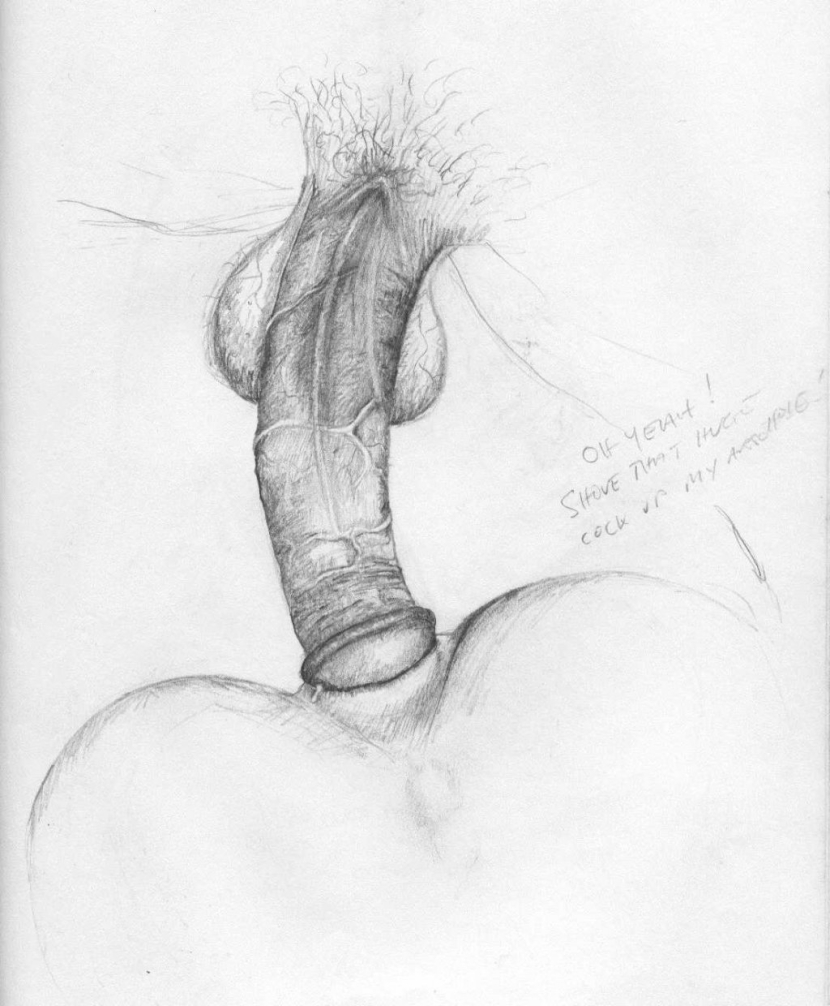 Member and vagina drawings with a pencil