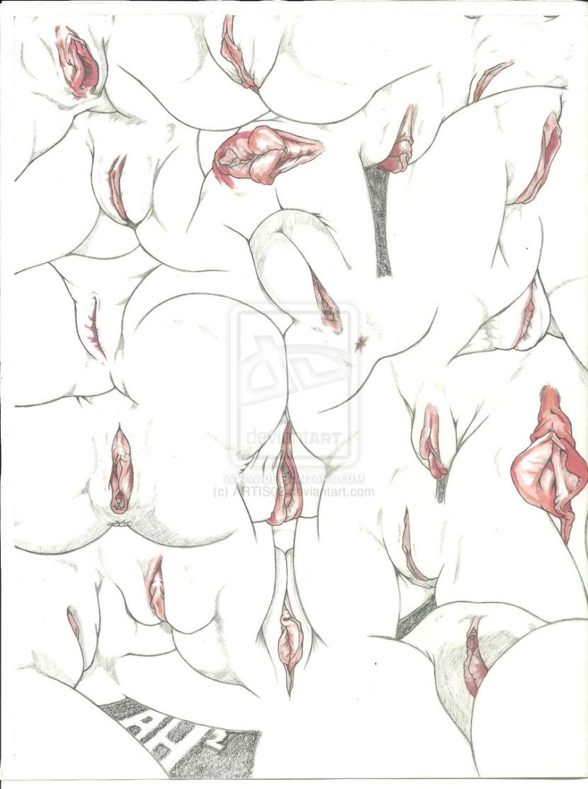 Drawing of a female vagina