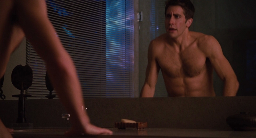 Jake Jillenhah and Anne Hathaway Love and other medicines