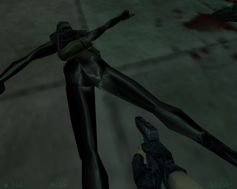 Half Life 2 Assassin
