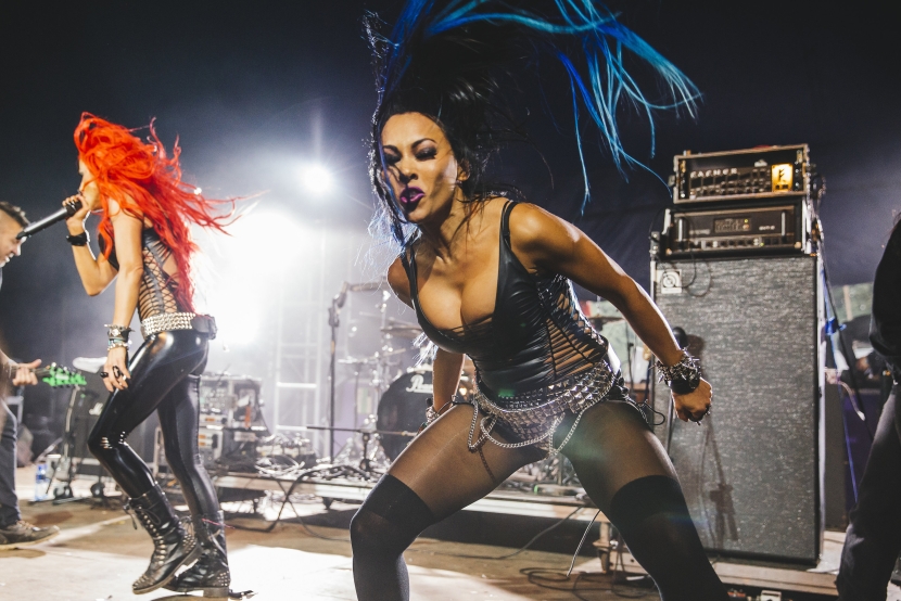 Butcher Babies group
