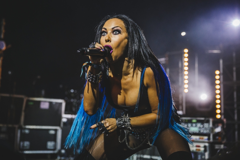 Butcher Babies group