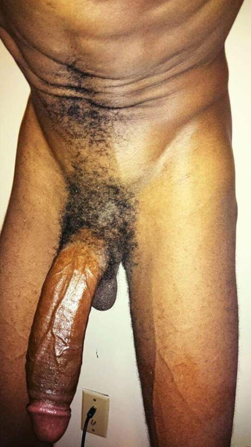 The largest members of monsters