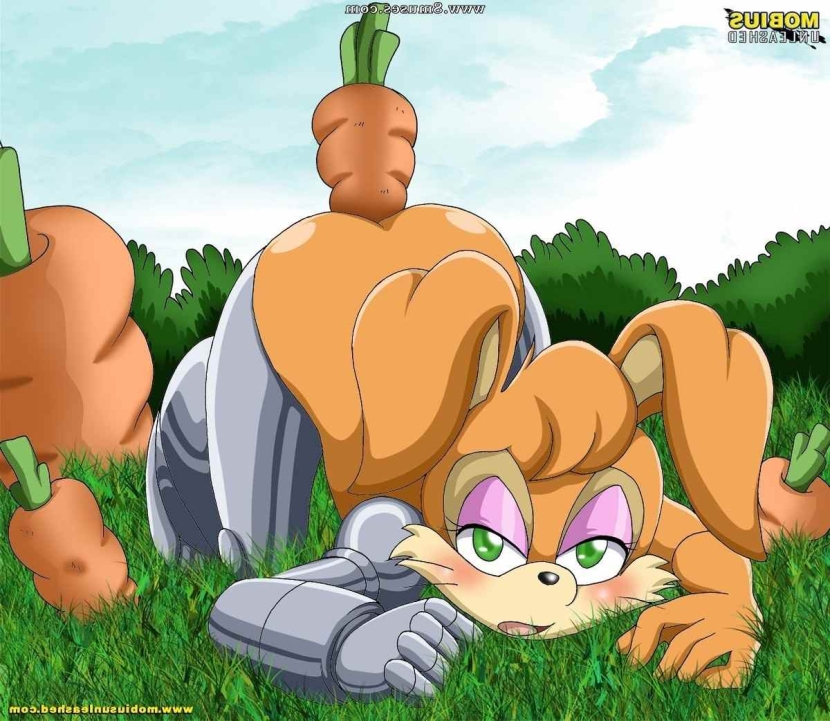 Bunnie Rabbot Sonic Hentai Mobius_unleashed