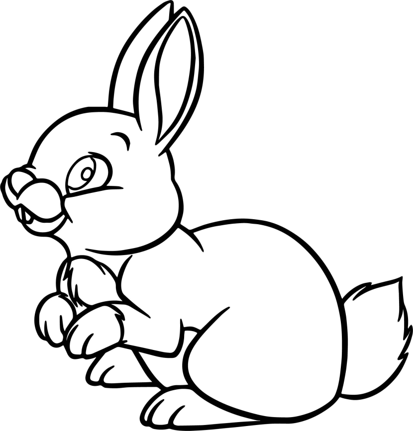 Cartoon Rabbit