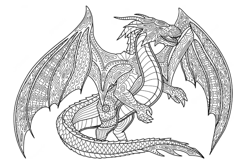Picture of the dragon coloring